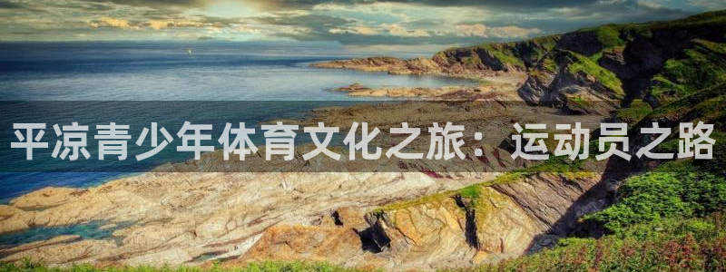 鲸鱼体育场：平凉青少年体育文化之旅：运动员之路