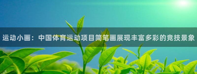鲸鱼体育手机版官网：运动小画：中国体育运动项目简笔画展现丰富多彩的竞技景象