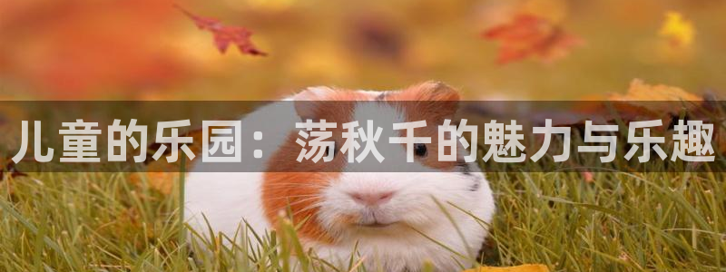 鲸鱼体育怎么下载：儿童的乐园：荡秋千的魅力与乐趣