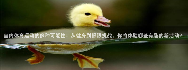 鲸鱼体育后来改成什么名字了：室内体育运动的多种可能性：从健身到极限挑战，你将体验哪些有趣的新活动？
