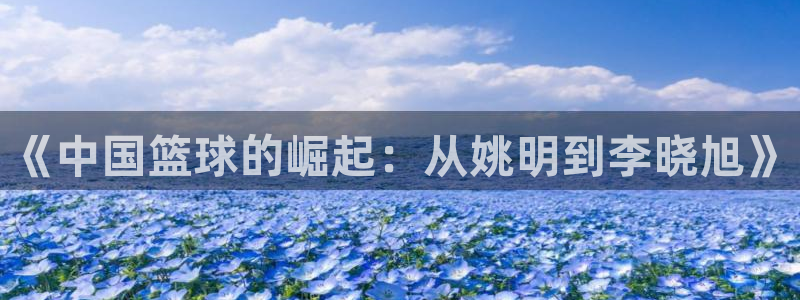 鲸鱼体育如何安装：《中国篮球的崛起：从姚明到李晓旭》